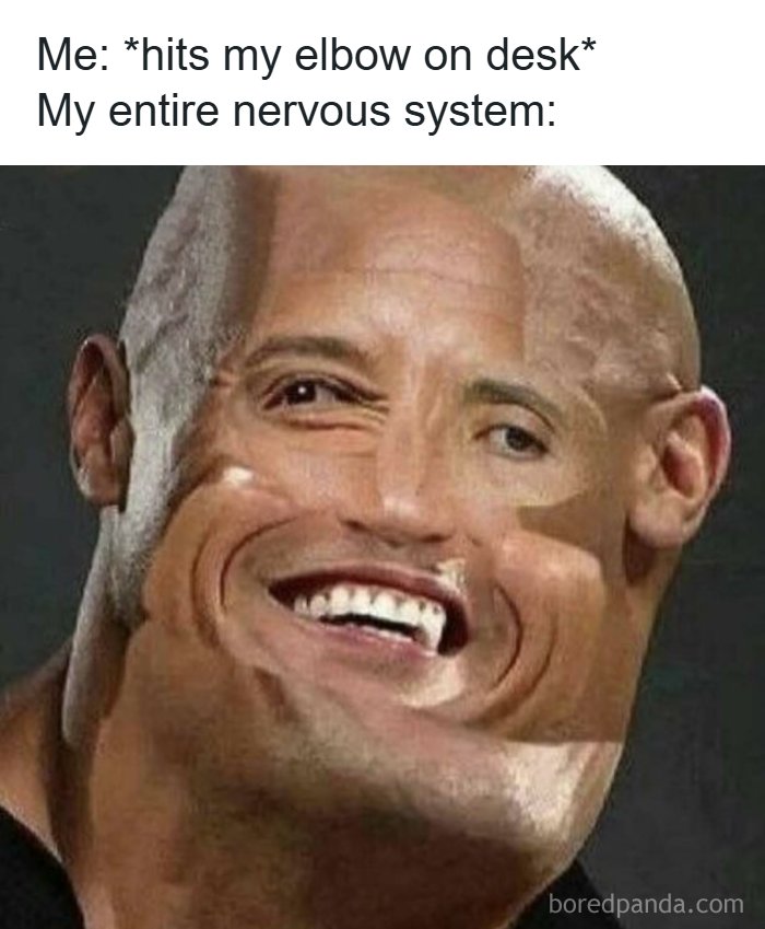 Distorted face meme shows nervous system reaction after hitting elbow on desk meme