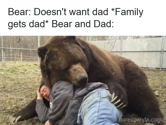Bear cuddles dad family meme