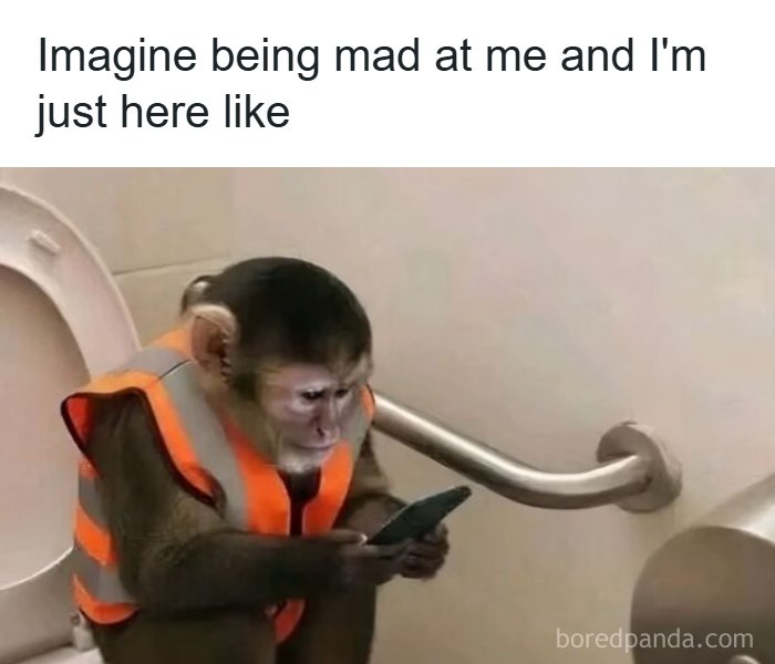 Funny meme of monkey in safety vest looking at phone
