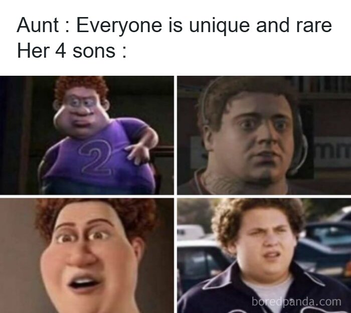 Meme about four sons who look very similar despite aunt saying everyone is unique meme