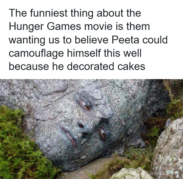 Hunger Games meme about Peeta camouflaging like stone in random memes