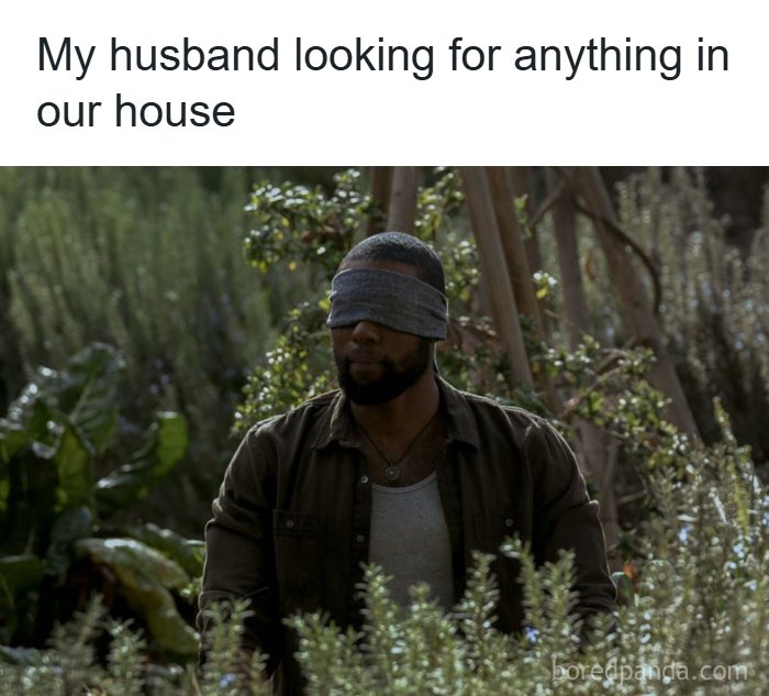 Husband looking blindfolded for anything in the house meme