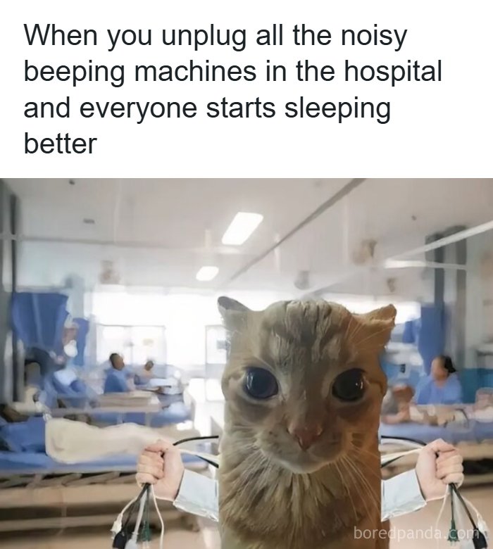 Meme of hospital scene with cat face and unplugged noisy machines