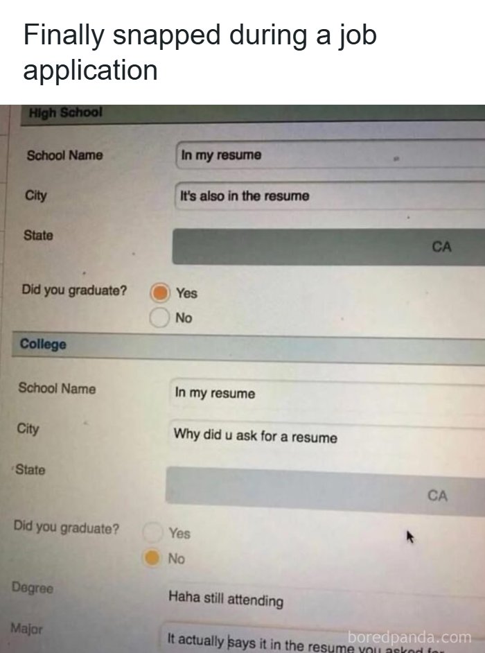 Screenshot of a sarcastic job application resume meme with funny responses