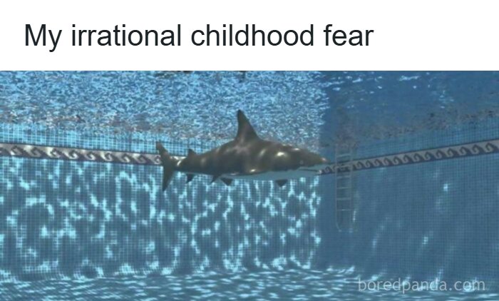 Image of shark in a swimming pool representing irrational childhood fear meme
