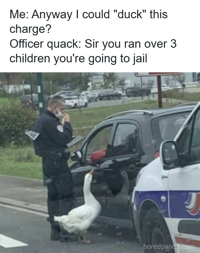 Funny meme about ducking a charge with a police officer and a goose at a car window