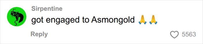 Comment about getting engaged to Asmongold related to boyfriend detail Comment about getting engaged to Asmongold related to boyfriend detail