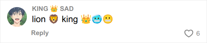A social media comment using emojis and words like lion king to describe the Norwegian soccer star's hair. A social media comment using emojis and words like lion king to describe the Norwegian soccer star's hair.