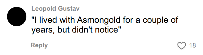 Comment about living with Asmongold related to boyfriend story Comment about living with Asmongold related to boyfriend story