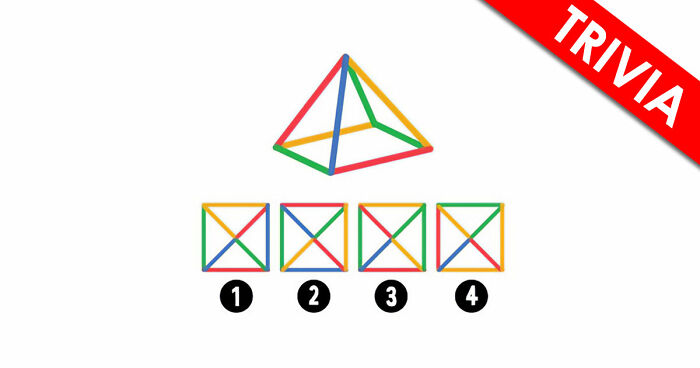 The Ultimate IQ Challenge: Test How Far Your Brains Can Go In This 15-Question Rebus Quiz