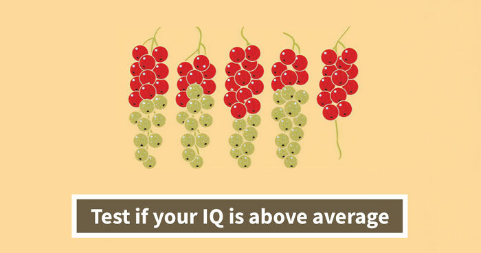 The Ultimate IQ Challenge: Test How Far Your Brains Can Go In This 15-Question Rebus Quiz
