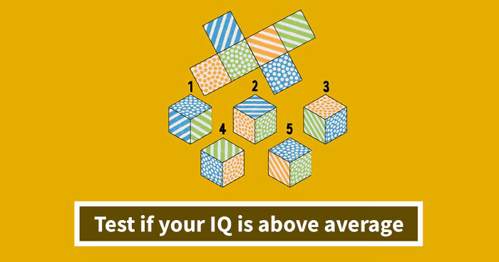 The Ultimate IQ Challenge: Test How Far Your Brains Can Go In This 15-Question Rebus Quiz