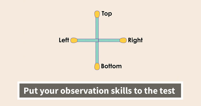 The Ultimate IQ Challenge: Test How Far Your Brains Can Go In This 15-Question Rebus Quiz