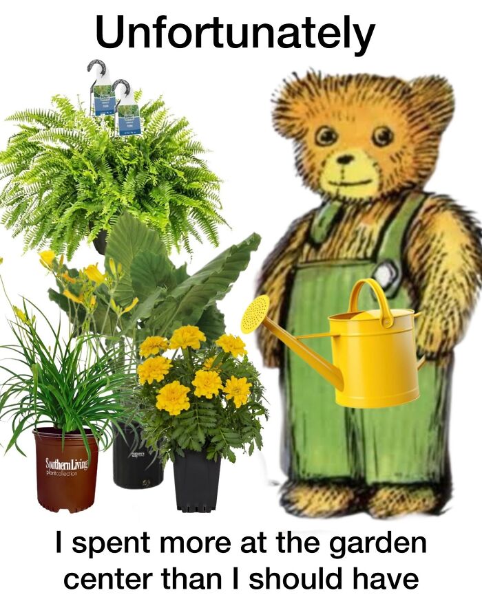 Funny memes with a teddy bear holding a watering can next to potted plants, showcasing cute animal content.