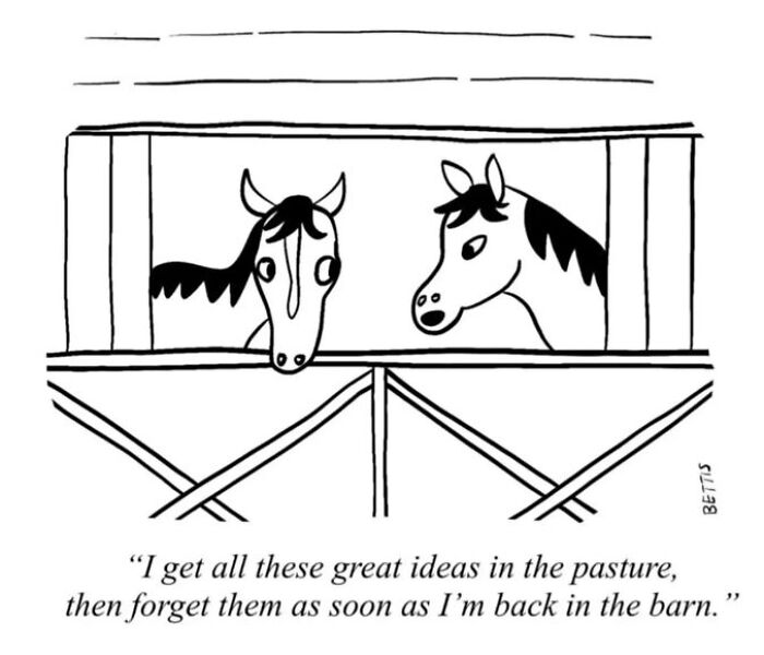 50 Clever Single Panel Cartoons By Katherine Bettis That Turn Everyday Thoughts Into Brilliant Absurdity