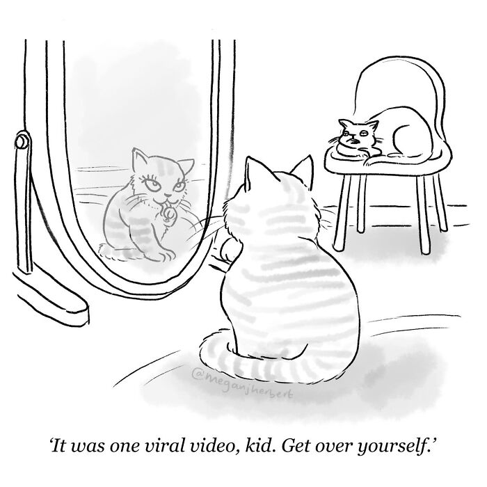 A funny comic shows a cat looking in a mirror, seeing a glamorous version of itself, while another cat on a chair says, It was one viral video, kid. Get over yourself.