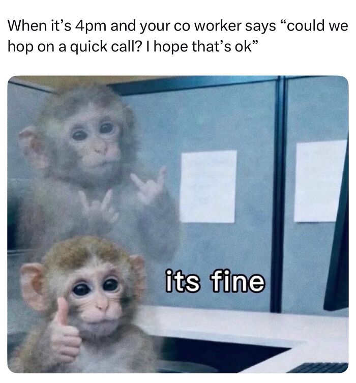 Funny memes featuring a monkey looking exasperated, then giving a thumbs up. Cute animal content for daily dose.
