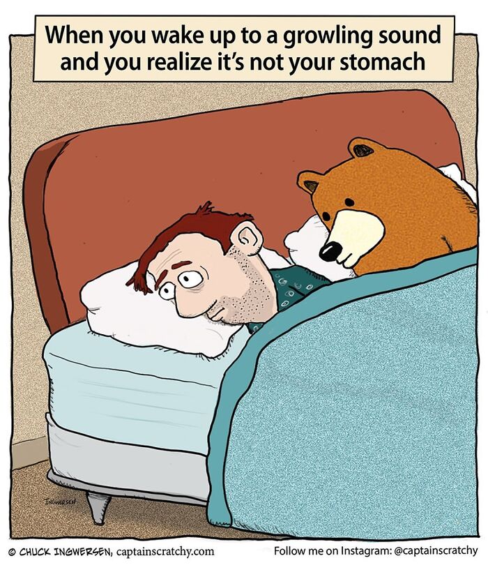 A comic by Captain Scratchy about animals in funny situations: a man wakes up to a bear in his bed.