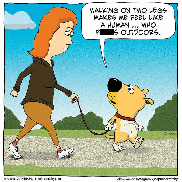 Captain Scratchy comic featuring funny animals, a dog walking on two legs like a human outdoors.