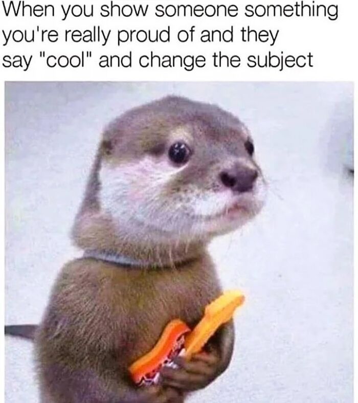 A baby otter holding a toy guitar, looking disappointed, funny memes about cute animal content.
