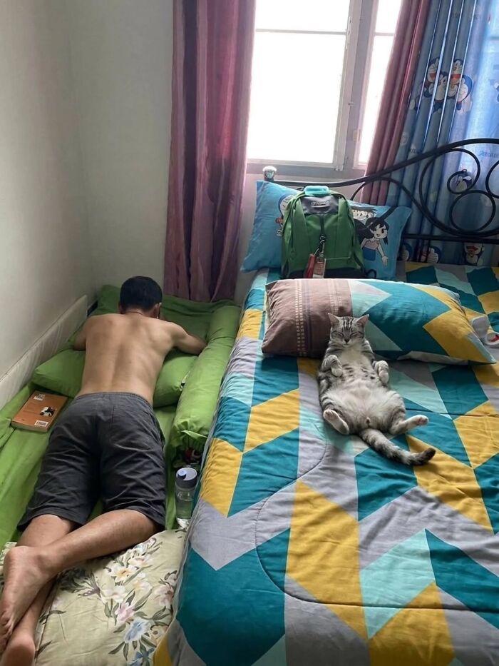 A funny pic of a person lying uncomfortably on the floor while a cat sprawls across the entire bed.
