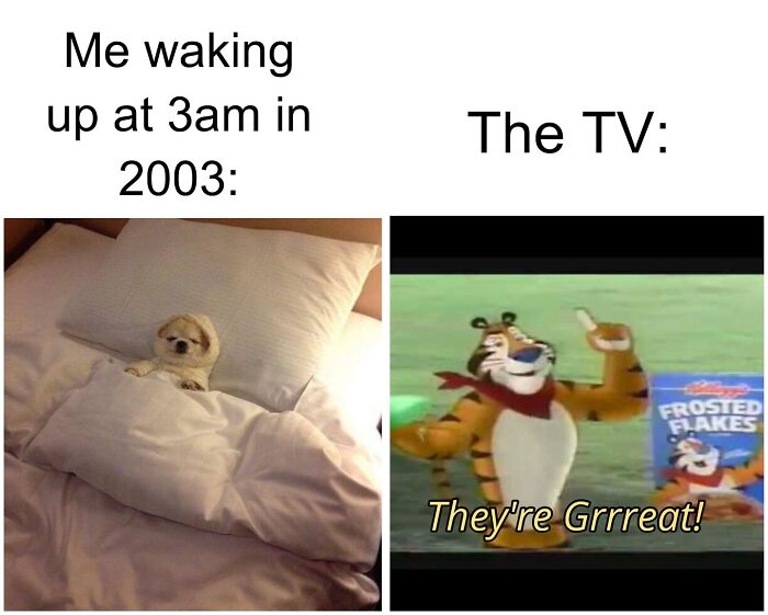 A funny meme split into two: a small dog tucked in bed and Tony the Tiger on TV, showing funny animal content.