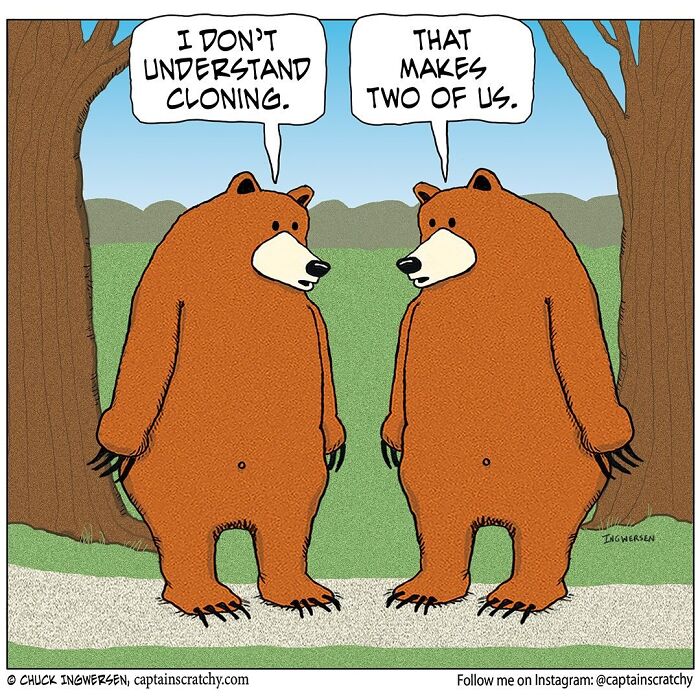 Captain Scratchy comic with two funny bears discussing cloning in a forest.