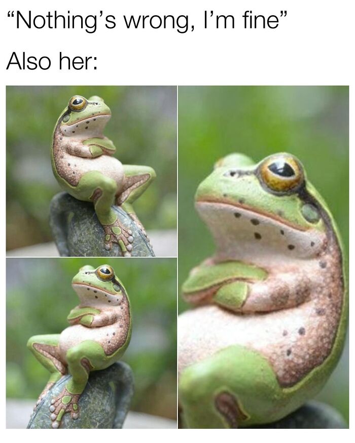 A funny meme of a thoughtful frog statue, posing with its arms crossed, symbolizing funny animal content.