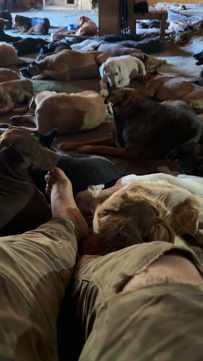 Meet Eduardo Groh Riermersma, The Man Who Devoted His Life To Caring For More Than 600 Rescued Dogs At Refugio El Montecito