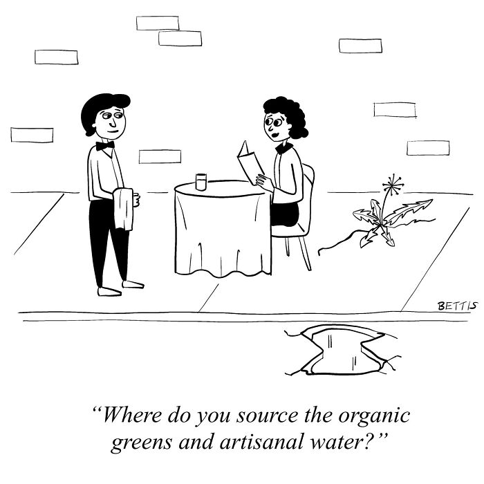 50 Clever Single Panel Cartoons By Katherine Bettis That Turn Everyday Thoughts Into Brilliant Absurdity