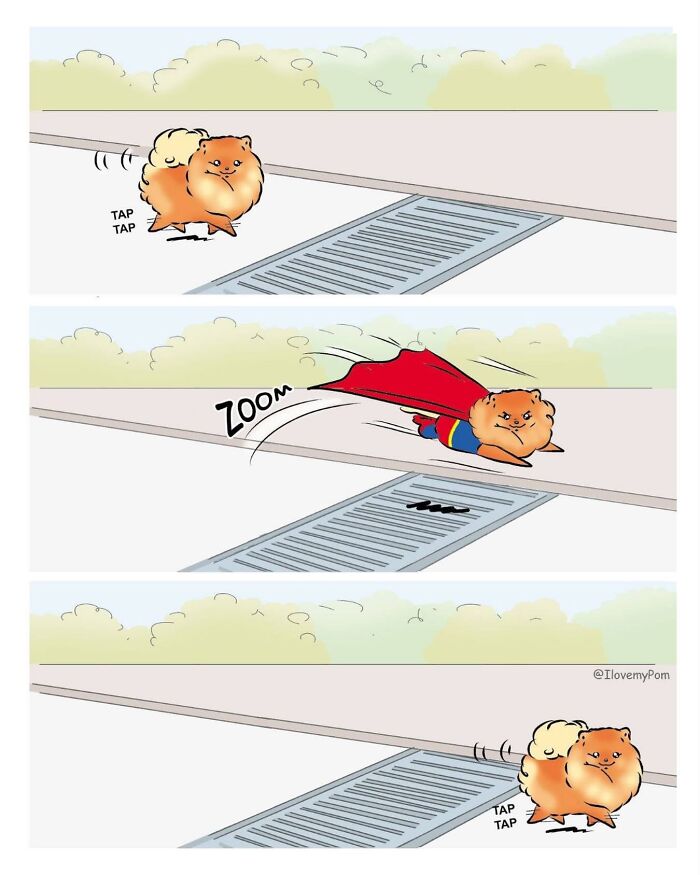 These Hilarious Comics Perfectly Capture What Life Is Like When You’re Obsessed With Pomeranians (40 New Comics)