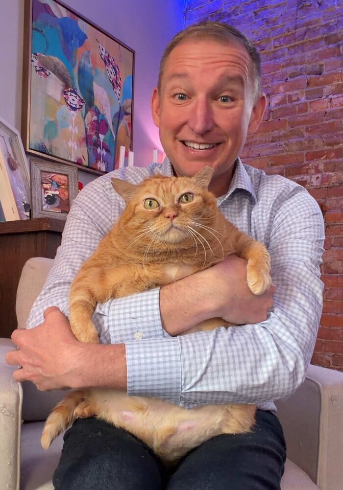 A smiling man in a checkered shirt holds a viral overweight rescue cat with orange fur, celebrating its forever home.