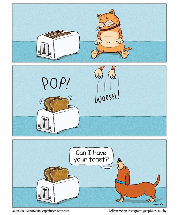 Captain Scratchy comic panel showing a cat stealing toast from a toaster, featuring animals in funny situations.