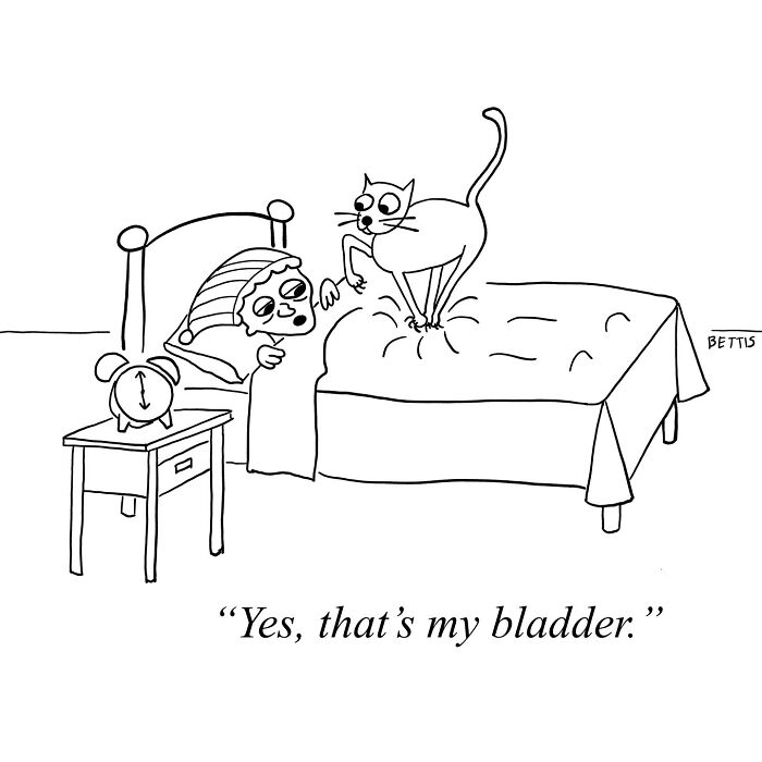 50 Clever Single Panel Cartoons By Katherine Bettis That Turn Everyday Thoughts Into Brilliant Absurdity
