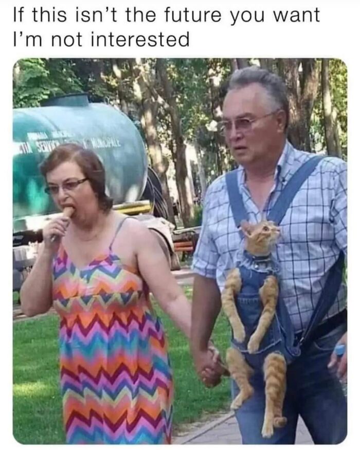 This Instagram Page With Millions Of Followers Shares Some Of The Most Relatable Cat Memes On The Internet (38 Pics)