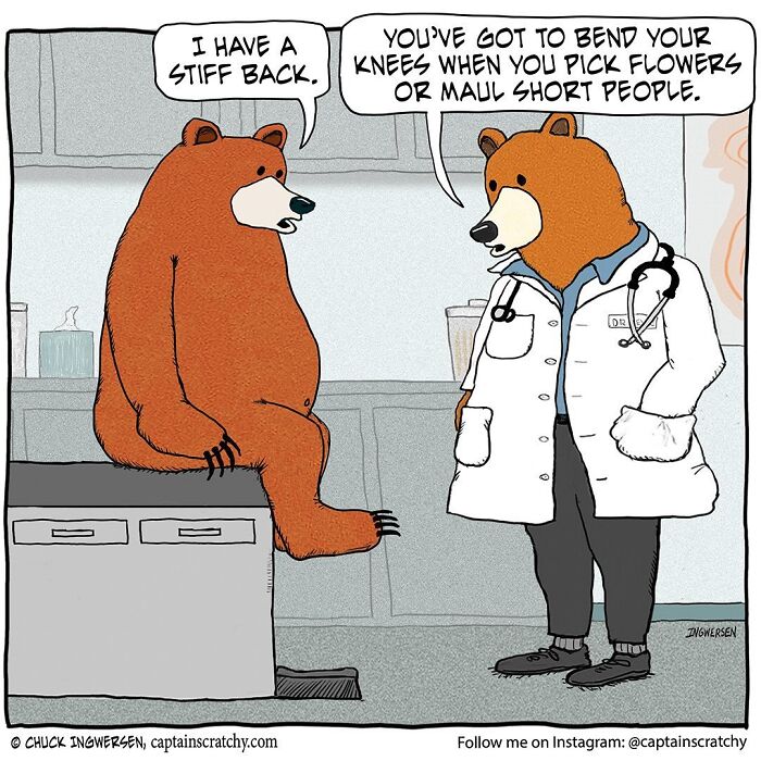 Captain Scratchy comic showing a bear doctor advising another bear about back pain, featuring animals in funny situations.