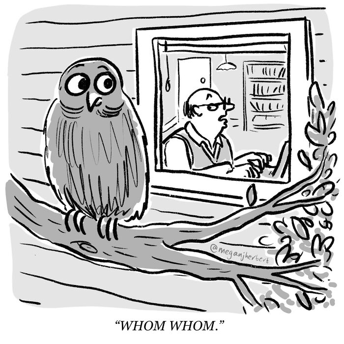 Funny comics: an owl on a branch, comically correcting a man at his desk with Whom Whom.