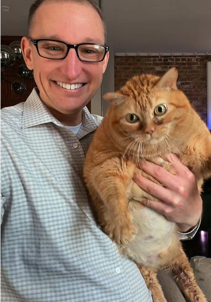 A smiling man holding the viral overweight rescue cat who has found a forever home.
