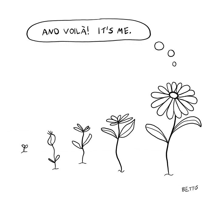 50 Clever Single Panel Cartoons By Katherine Bettis That Turn Everyday Thoughts Into Brilliant Absurdity