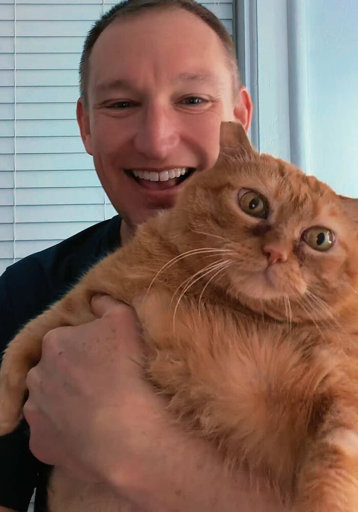 Smiling man holding an overweight rescue cat, bringing joy to its forever home. This viral cat found happiness.