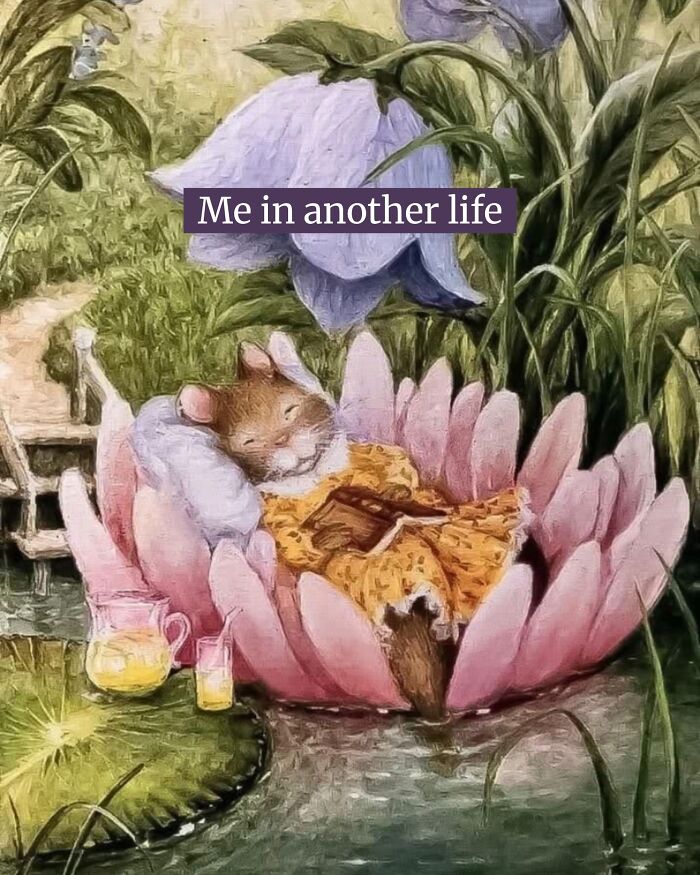 Cute animal content meme showing a mouse in a dress sleeping in a lotus flower, envisioning another life.