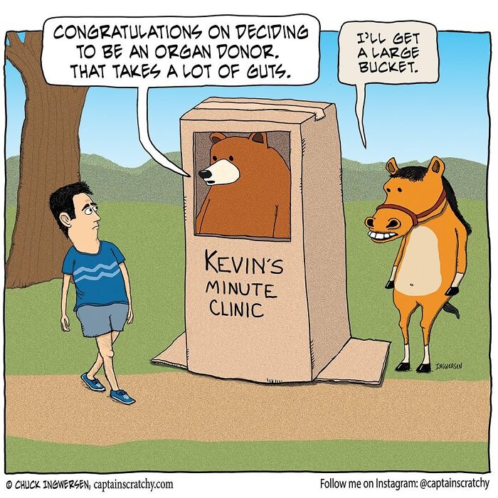 A funny comic by Captain Scratchy featuring animals, a bear and a horse, in a funny clinic situation.