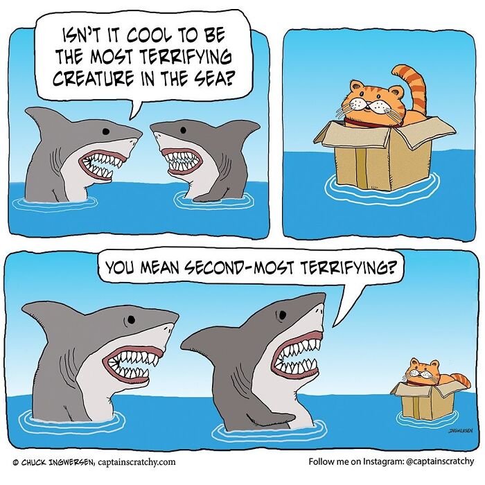 A funny comic by Captain Scratchy featuring animals, sharks and a cat, in a funny sea situation.