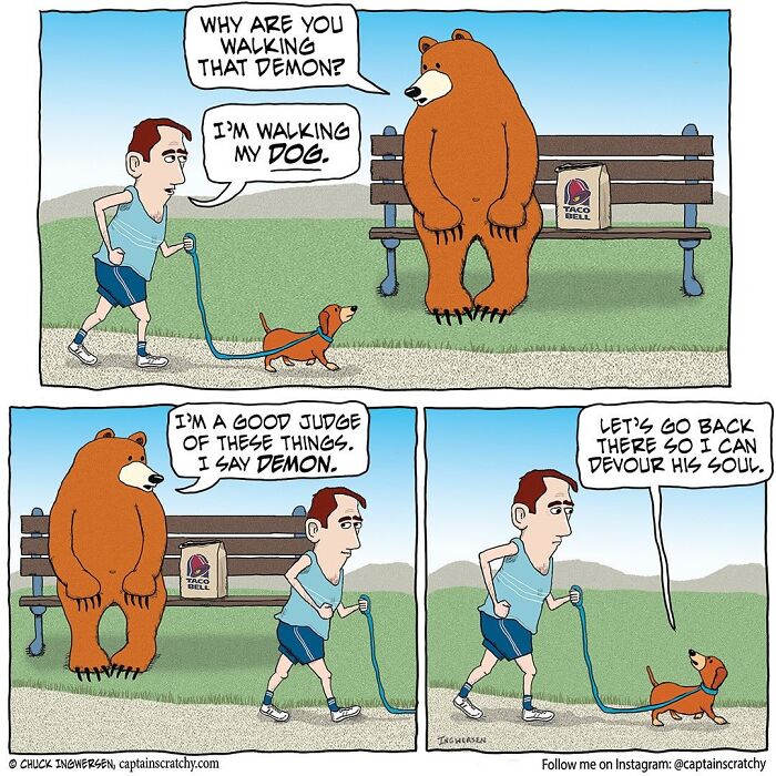 A funny comic by Captain Scratchy featuring animals, a bear and a dog, in a humorous conversation.