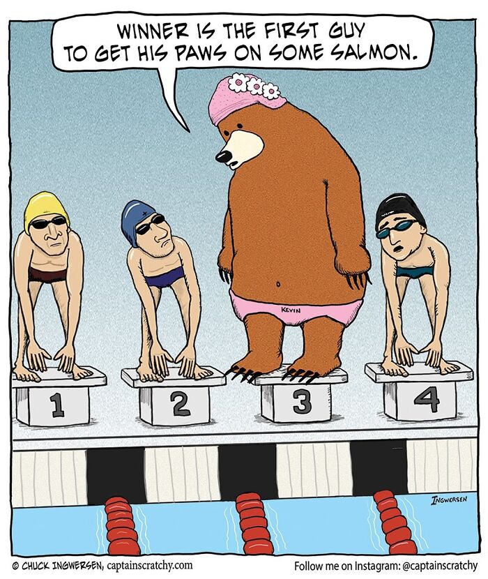 Captain Scratchy comic showing funny animals: a bear in a swim cap and speedo competes with swimmers for salmon.