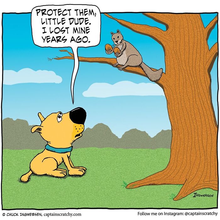 Captain Scratchy comic with funny animals: a squirrel on a tree advises a dog to protect its nuts.