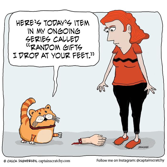 Captain Scratchy comic showcasing funny animals: a cat presents a human severed arm as a random gift.