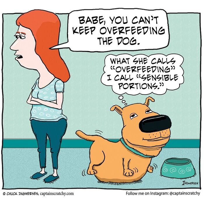 Captain Scratchy comic featuring funny animals: a woman scolds her husband for overfeeding their dog.