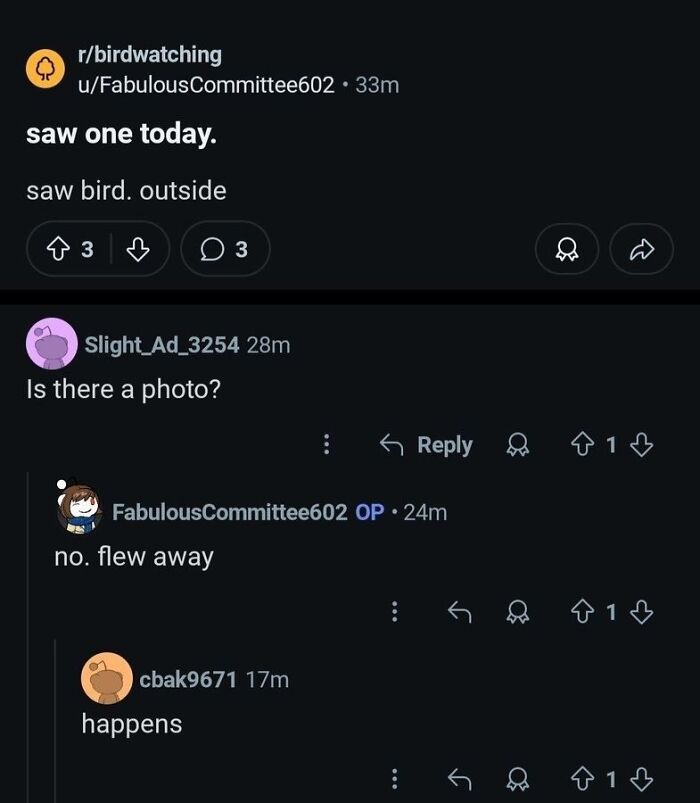 A screenshot of a Reddit thread discussing birdwatching, featuring funny animal content and memes.
