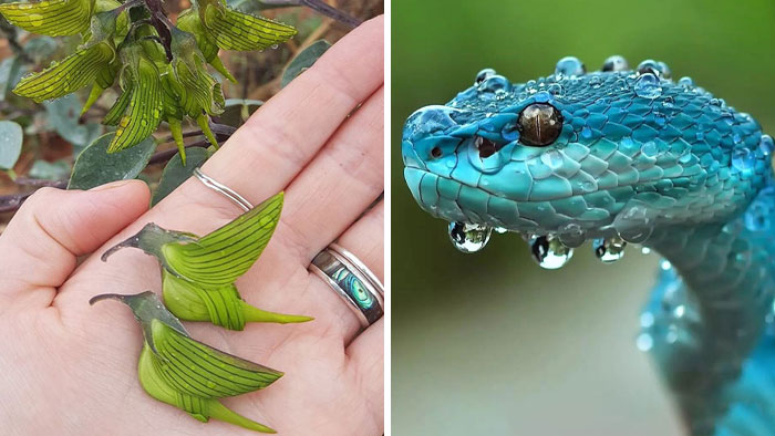115 Photos And Facts That Showcase Just How Incredible Our World Really Is